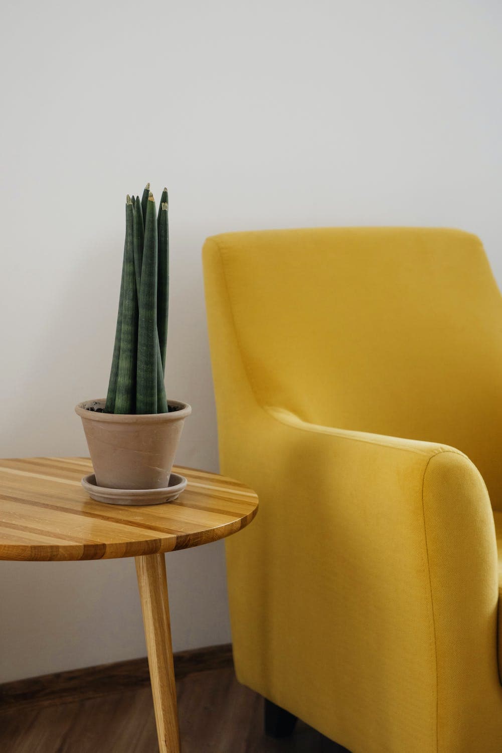 Chair and coffee table